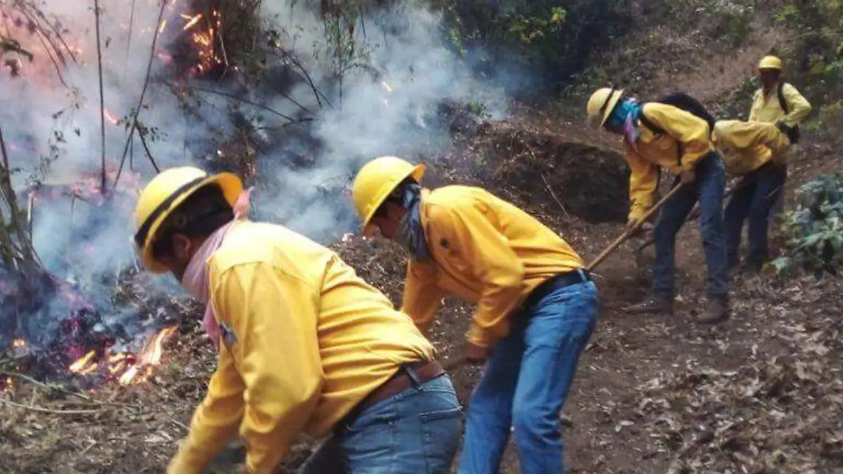 incendio forestal